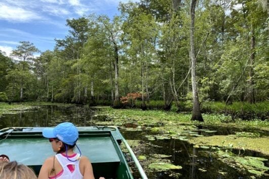 Swamp & Plantation Tour