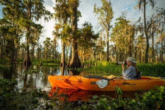 Louisiana Swamp Photography Tour