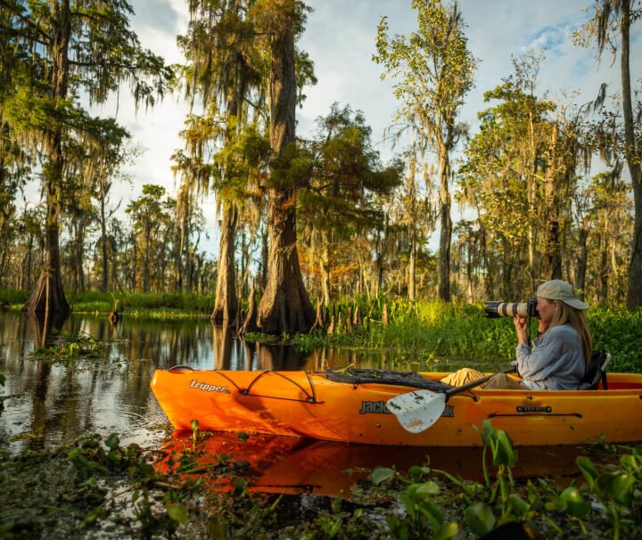 Louisiana Swamp Photography Tour